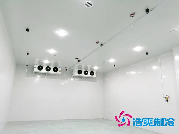 冷庫(kù)造價(jià)揭秘：300平方米到底要花多少錢？-浩爽制冷