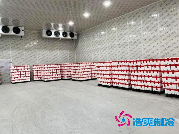 檳榔保鮮冷庫安裝造價(jià)費(fèi)用多少錢？-浩爽制冷